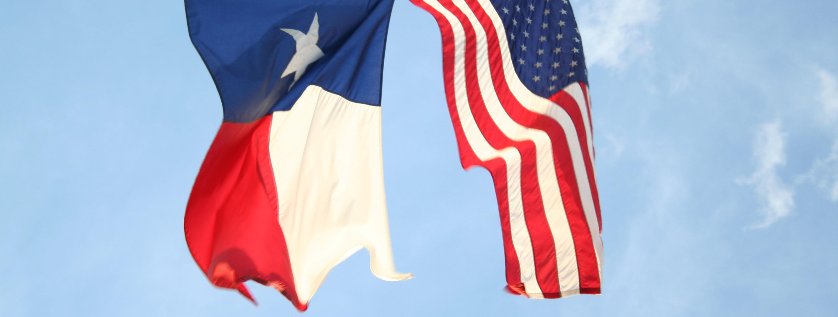USA and Texas flag