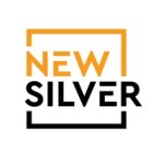 new_silver_logo (2)