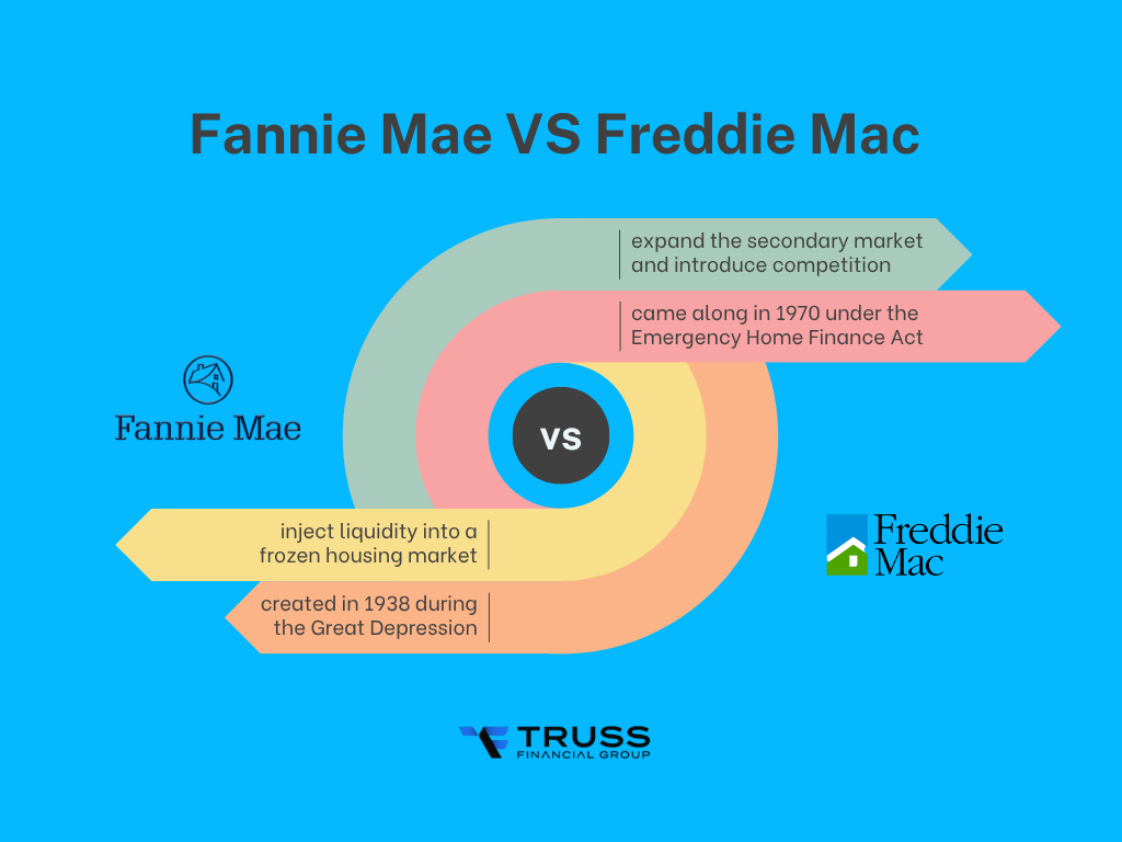 explained differences between fannie mae vs freddie mac